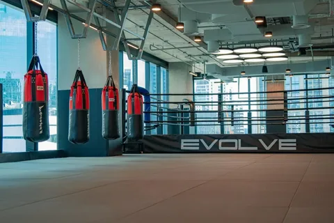 Martial Arts & Fitness Classes at Evolve MMA EmSphere