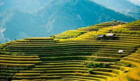 South Vietnam Fruit Festival