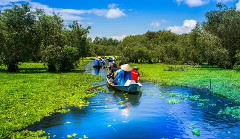 Tra Su Cajuput Forest Eco-Tourism Experience