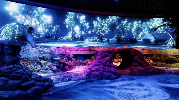 Touch neon walls as seahorses glow at Sea Life Bangkok