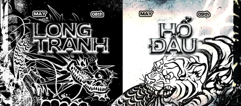 Long Tranh Hổ Đấu Arena: The 48-Hour Mega Festival