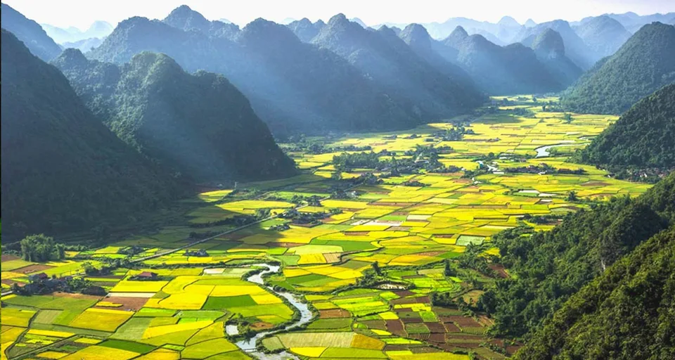 Bac Son Valley Rice Fields
