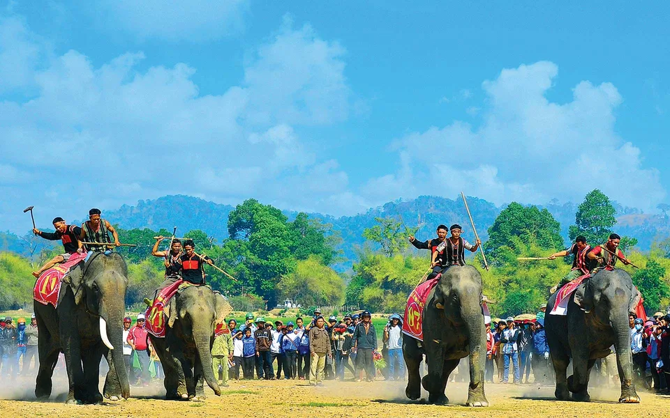 Elephant Racing Festival