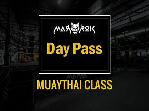 Day Pass (Muay Thai Group)